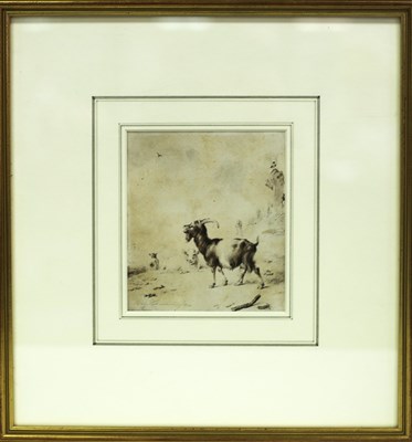 Lot 905 - Eugène Verboeckhoven (1798-1881)/Goat/pen and...