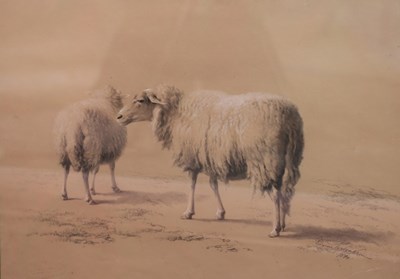 Lot 929 - Eugène Verboekhoven (1798-1881)/Sheep/signed...