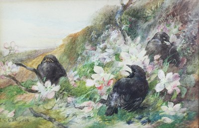 Lot 930 - Charles H C Baldwyn (1859-1943)/Rooks among...