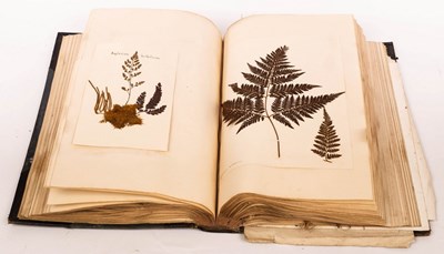 Lot 229 - A Victorian Fern Book containing examples from...