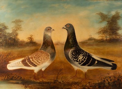 Lot 980 - R Hutchinson/Two Pigeons, Dollar and Old...