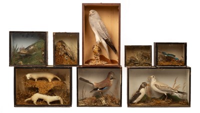 Lot 990 - Six stuffed birds, a kingfisher, a wren, a...