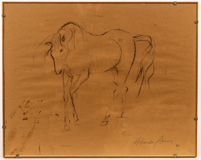 Lot 334 - Shenda Amery (born 1937)/Horse/signed and...