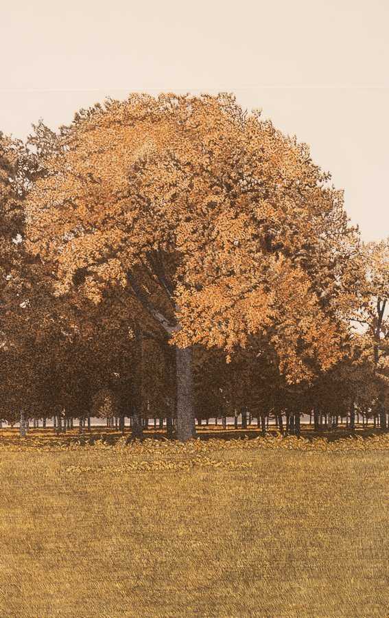 Lot 484 - Phil Greenwood (born 1943)/Red Oak/signed and...