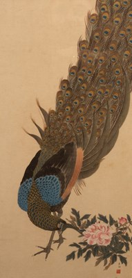 Lot 394 - Soken/Peacock/hand coloured print, 40cm x 19cm...