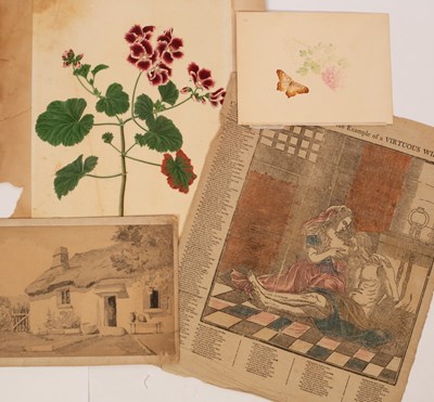 Lot 442 - Mid 19th Century English School/Botanical...