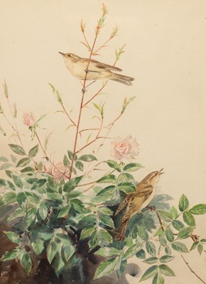 Lot 449 - Eileen Alice Soper (1905-1990)/Linnets on a...