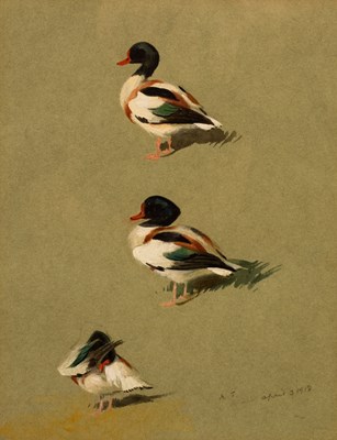 Lot 450 - Archibald Thorburn (1860-1935)/Studies of a...