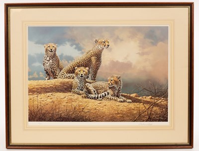 Lot 61 - Adrian C Rigby (born 1962)/Cheetah at...