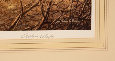 Lot 61 - Adrian C Rigby (born 1962)/Cheetah at...