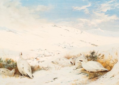 Lot 128 - After Archibald Thorburn (1860-1935)/Ptarmigan...