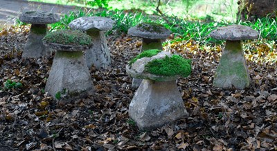 Lot 501 - Lot Withdrawn - Six staddle stones with...