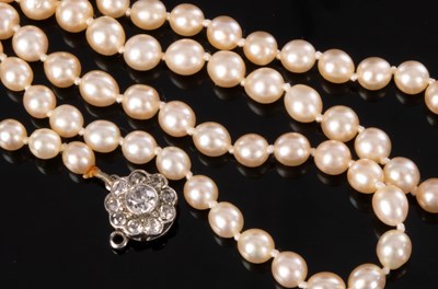 Lot 171 - A single row pearl necklace, the graduated row...