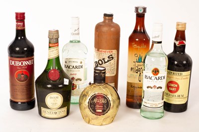 Lot 670 - Spirits; eight bottles various including D.O.M...