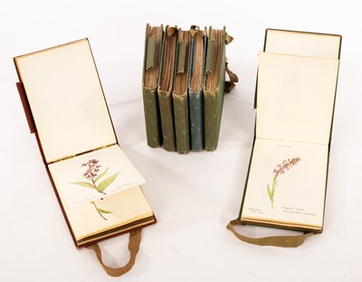 Lot 1100 - Henri Correvon (1854-1939)/Botanical Studies/a...