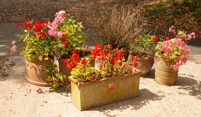 Lot 504 - Five terracotta pots and a large terracotta...