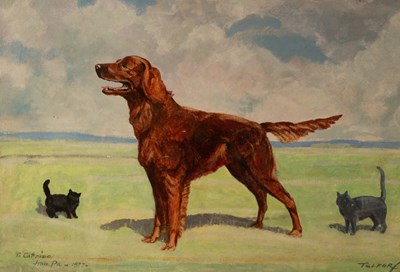 Lot 851 - William Walker Telfer (1907-1989)/Red Setter...