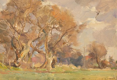 Lot 852 - David Jan Curtis (born 1948)/Willows in a...