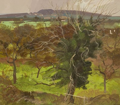 Lot 255 - Allan Laycock RWA (1928-2020)/From Cooks Hill,...