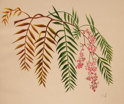 Lot 1068 - An album of 19th Century watercolour, pencil...