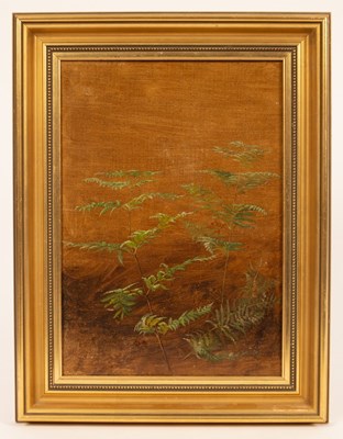 Lot 1173 - Gambier Parry/Study of Ferns/oil on canvas,...