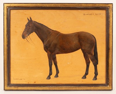 Lot 34 - Frances Mabel Hollams (1877-1963)/Study of a...