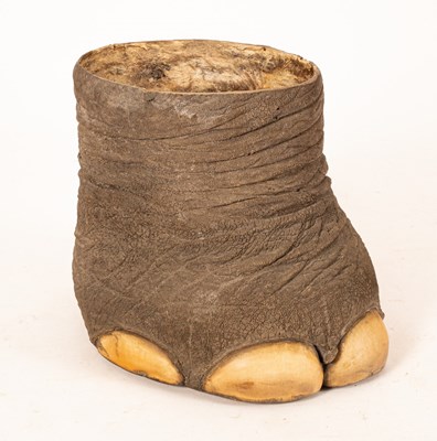 Lot 382 - An elephant foot waste paper basket, 33cm high