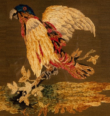 Lot 407 - A needlework picture of a parrot, 46cm x 50cm,...