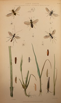 Lot 489 - Curtis (J) Farm Insects, 1860, , 8vo, plates,...