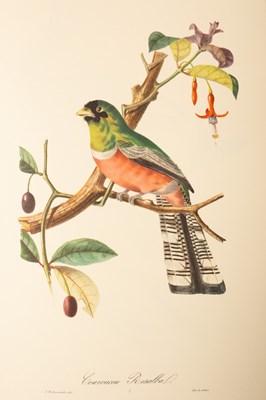 Lot 547 - Ornithological Interest, a collection to...