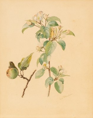 Lot 1091 - Ida Southwell Perrin (1861-1953)/Apple...