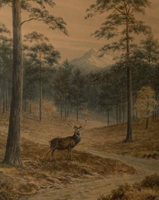 Lot 1106 - Vincent R Balfour Browne (1880-1963)/Deer...