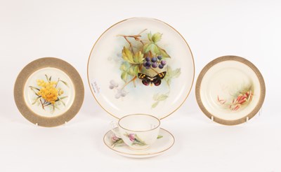 Lot 168 - Three Royal Worcester plates with Australian...