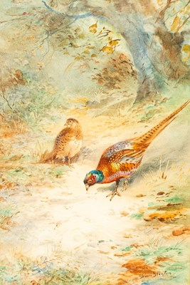 Lot 267 - James Stinton (1870-1961): Pheasants in an...