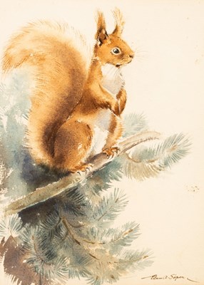 Lot 268 - Eileen Alice Soper (1905-1990)/Red Squirrel on...