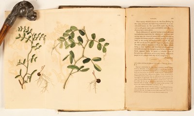 Lot 353 - Strickland (HE), A General View of the...