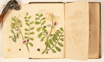 Lot 353 - Strickland (HE), A General View of the...
