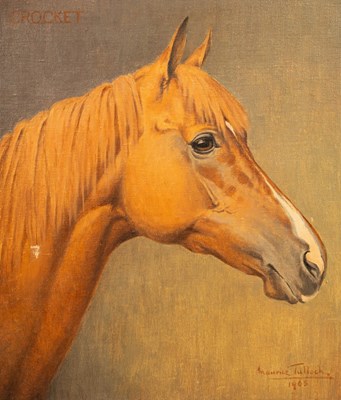 Lot 646 - Maurice Tulloch/Portrait of a Horse's...