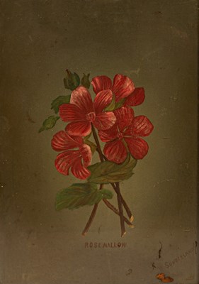 Lot 698 - K Sunderland/Rose Mallow/watercolour, 45cm x...