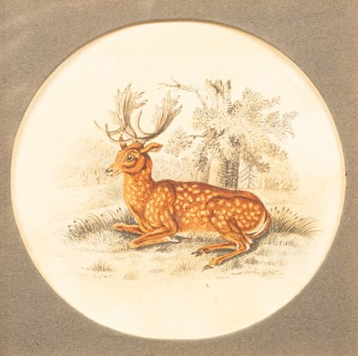 Lot 806 - English School, 19th Century/Stag Lying in a...