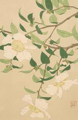 Lot 851 - Japanese School, 20th Century/Blossoms and...