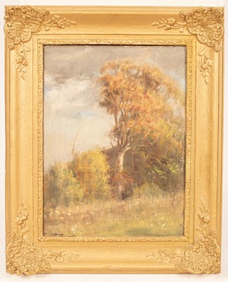 Lot 889 - Anthony Devas (1911-1958)/Woodland...