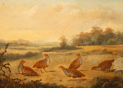 Lot 899 - Circle of William Elmer, circa 1800/Pheasant...