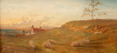 Lot 906 - English School, 19th Century/Sheep...