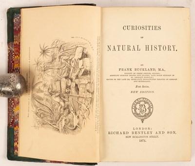 Lot 417 - Buckland (Frank), Curiosities of Natural...