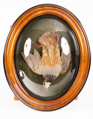 Lot 313 - A pair of French stuffed birds, Red Legged...