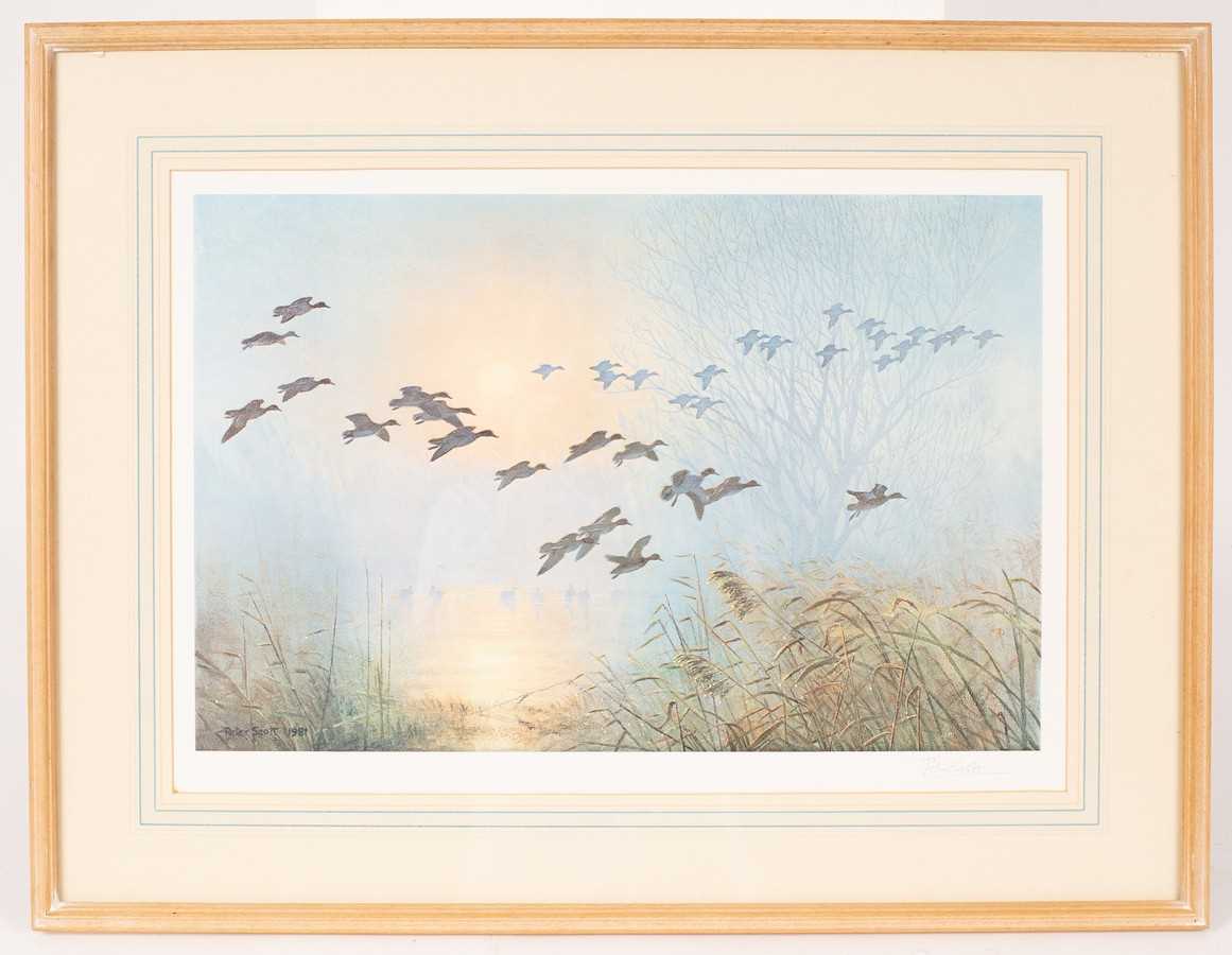 Lot 739 - Peter Scott (1909-1989)/Ducks in Flight/signed...