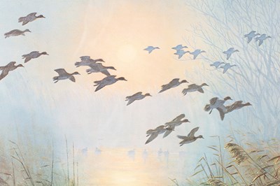 Lot 739 - Peter Scott (1909-1989)/Ducks in Flight/signed...