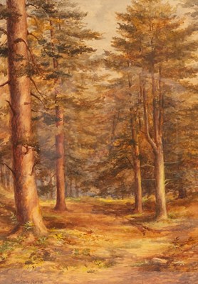 Lot 944 - Bertha Reid/Woodland Landscape/signed and...