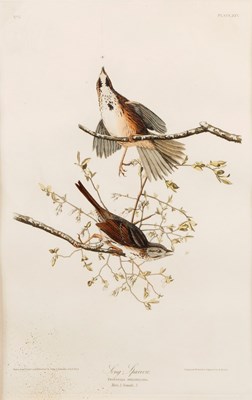 Lot 865 - After John James Audubon (American...